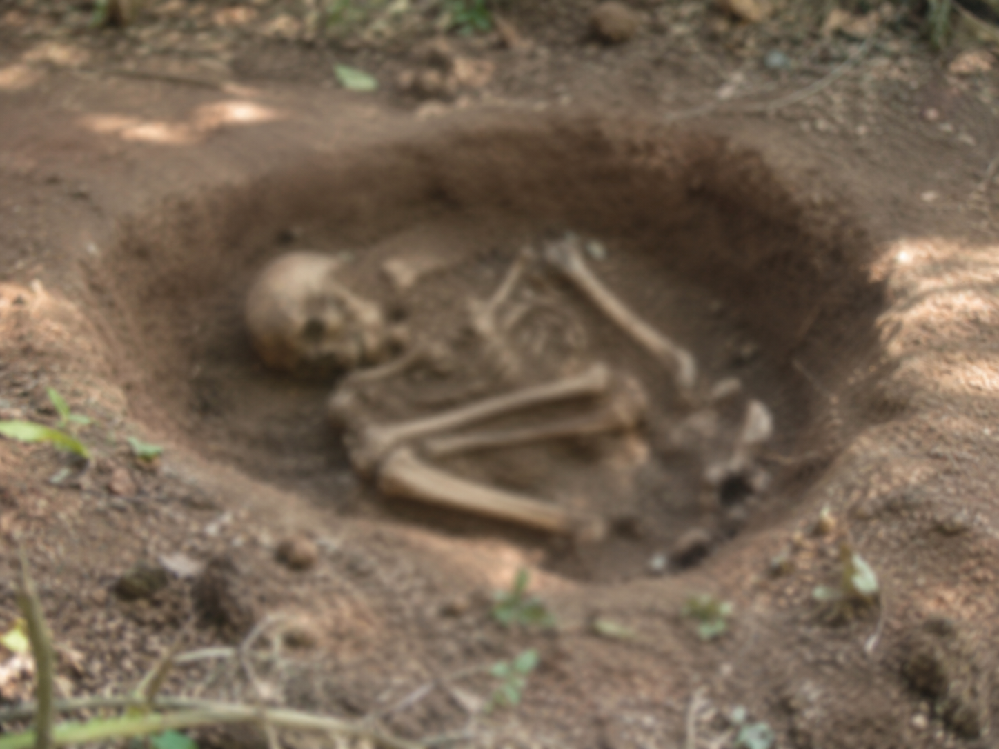  Ossada é encontrada em área rural na Região